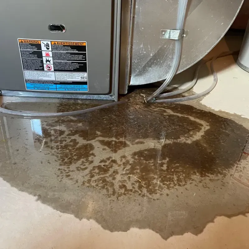 Appliance Leak Cleanup in Catalina Foothills, AZ